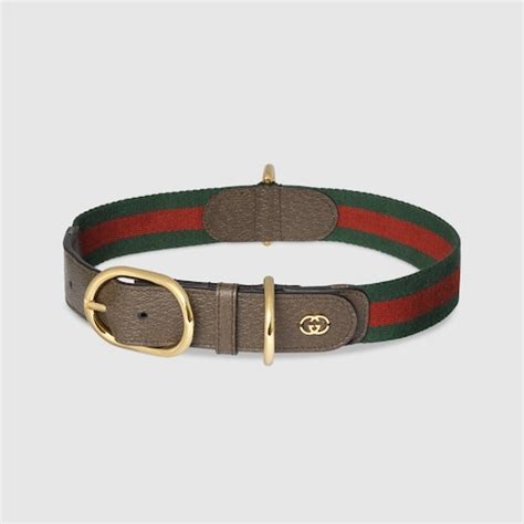 gucci backpack cat|Gucci dog collars and leashes.